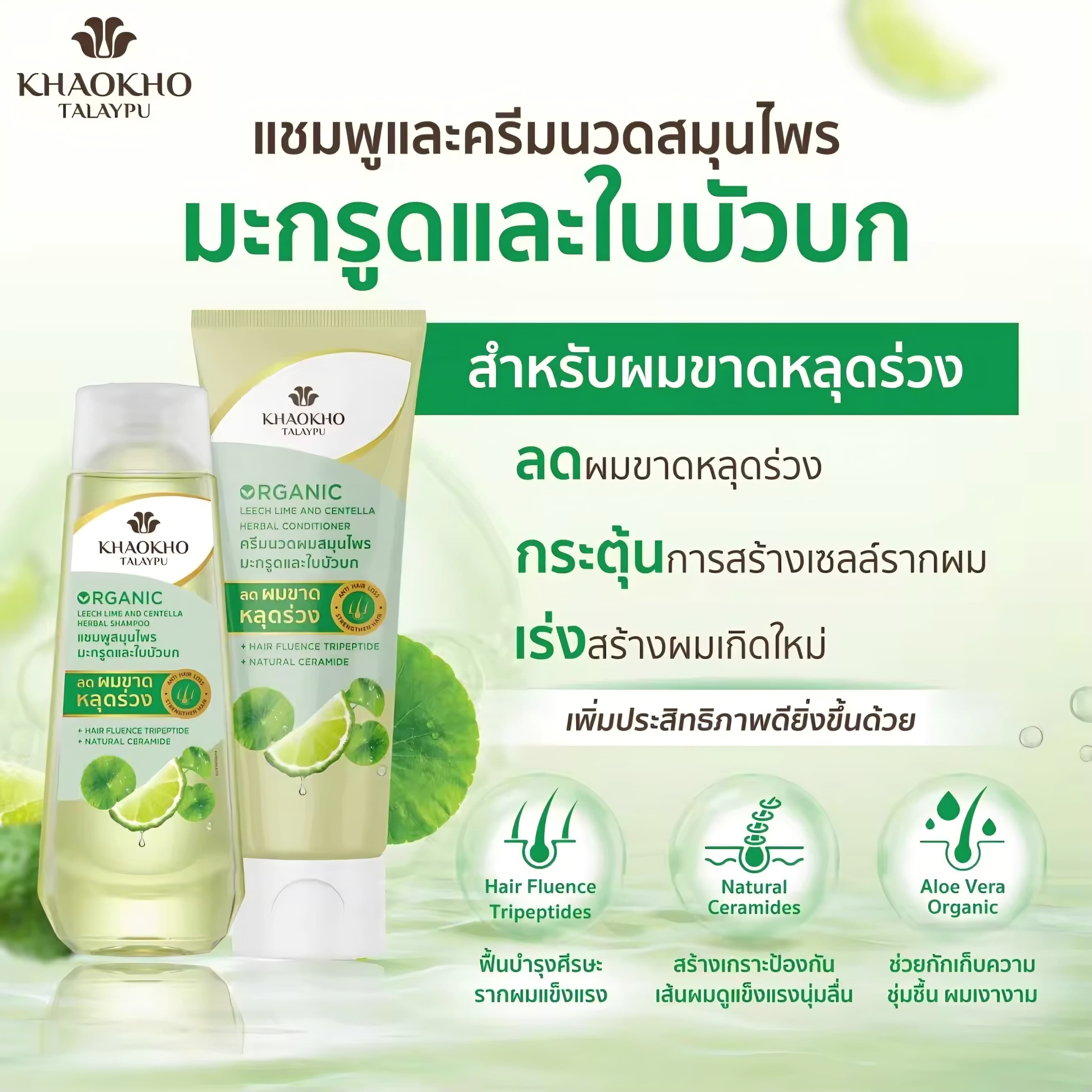 KHAOKHO TALAYPU Leech Lime & Centella Herbal Shampoo (180ml) & Conditioner (160ml) Set