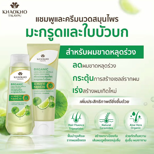 KHAOKHO TALAYPU Leech Lime & Centella Herbal Shampoo (180ml) & Conditioner (160ml) Set